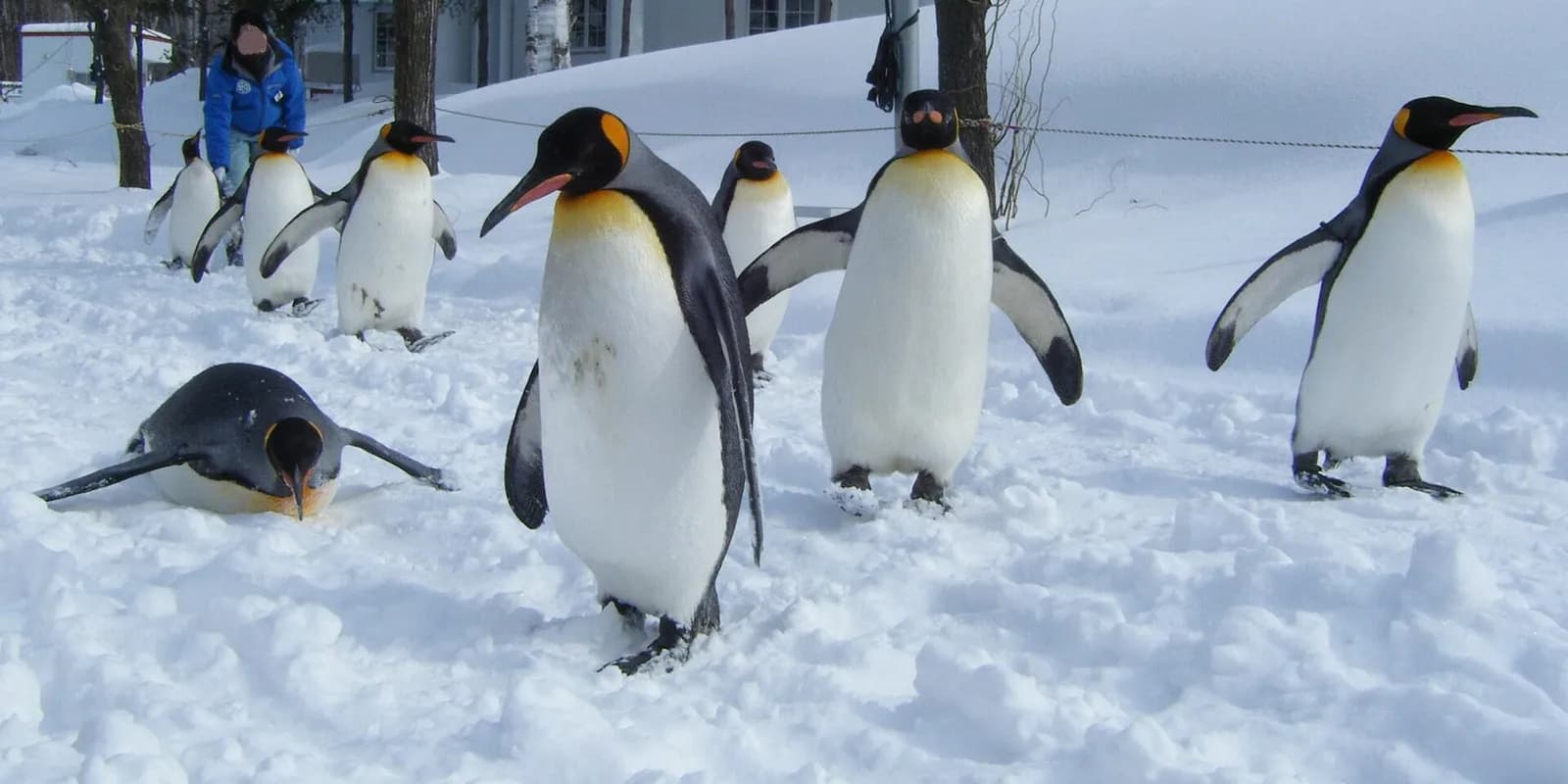 아사히야마 동물원 전경