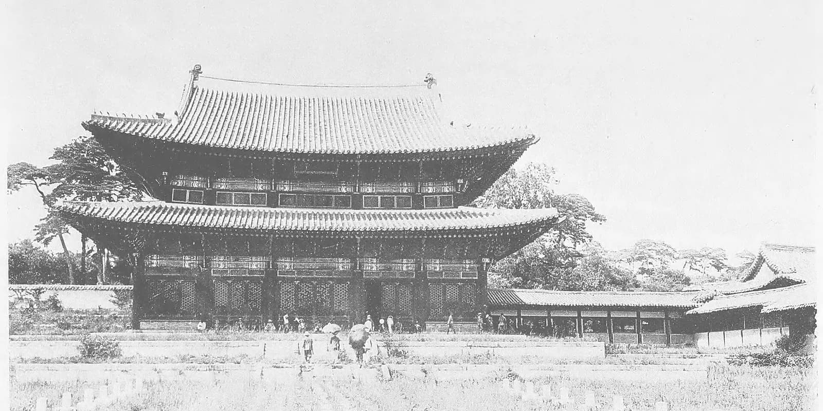 창덕궁 인정전의 웅장한 전경과 넓은 앞마당, 뒤로 이어지는 숲