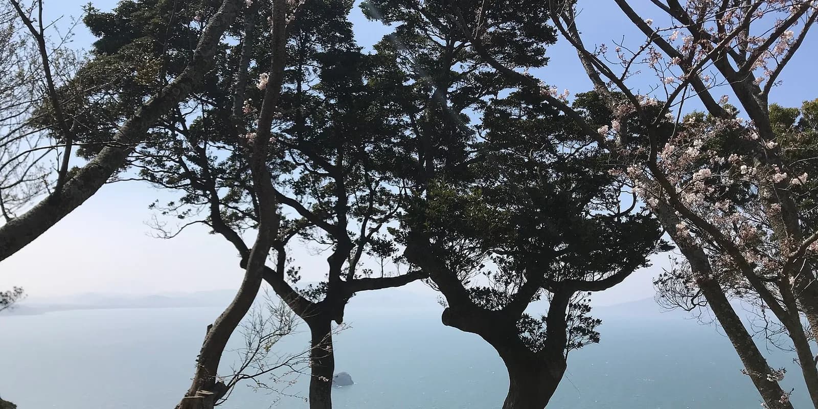 노코노시마 아일랜드 파크의 언덕 꽃밭과 하카타만 너머로 보이는 후쿠오카 시내 풍경