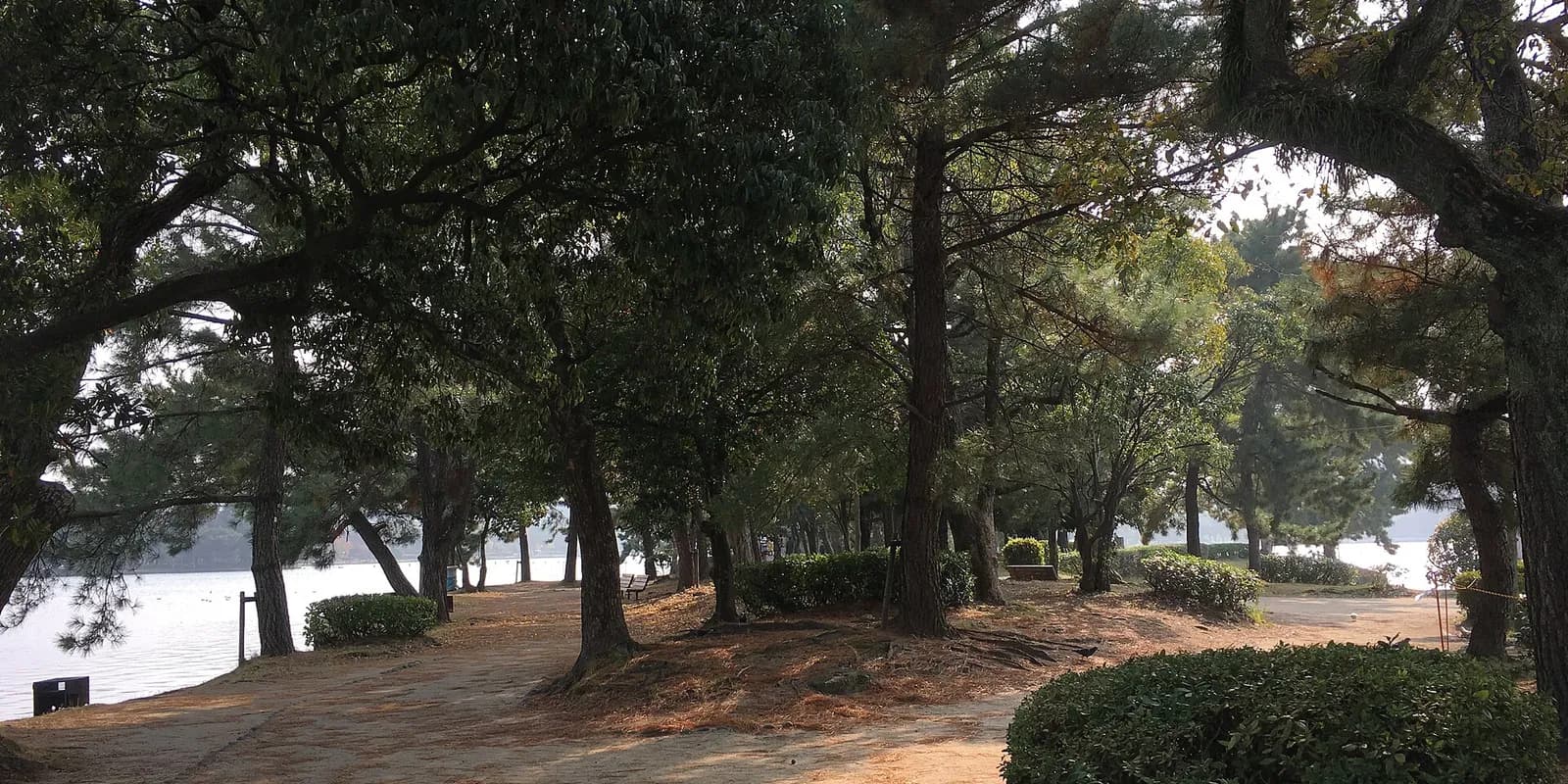 후쿠오카 오호리 공원의 큰 호수와 호수를 가로지르는 돌다리, 붉은색 우키미도 정자가 보이는 풍경