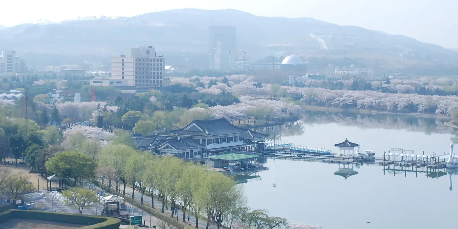 벚꽃이 핀 경주 보문호수와 호숫가 산책로 전경