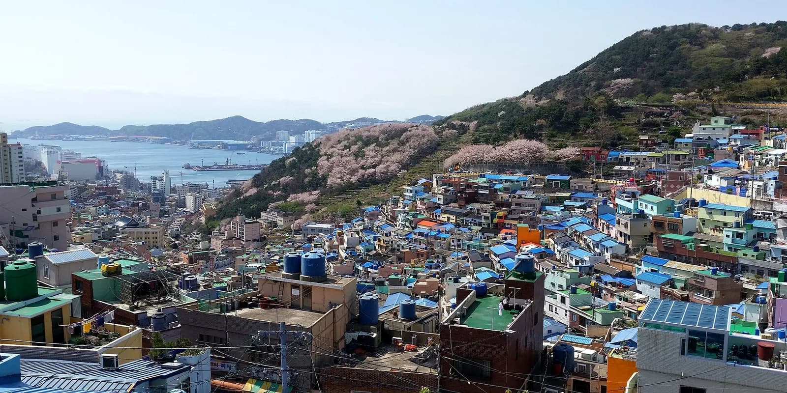 부산 감천문화마을의 알록달록한 계단식 집들이 산비탈을 층층이 덮은 전경