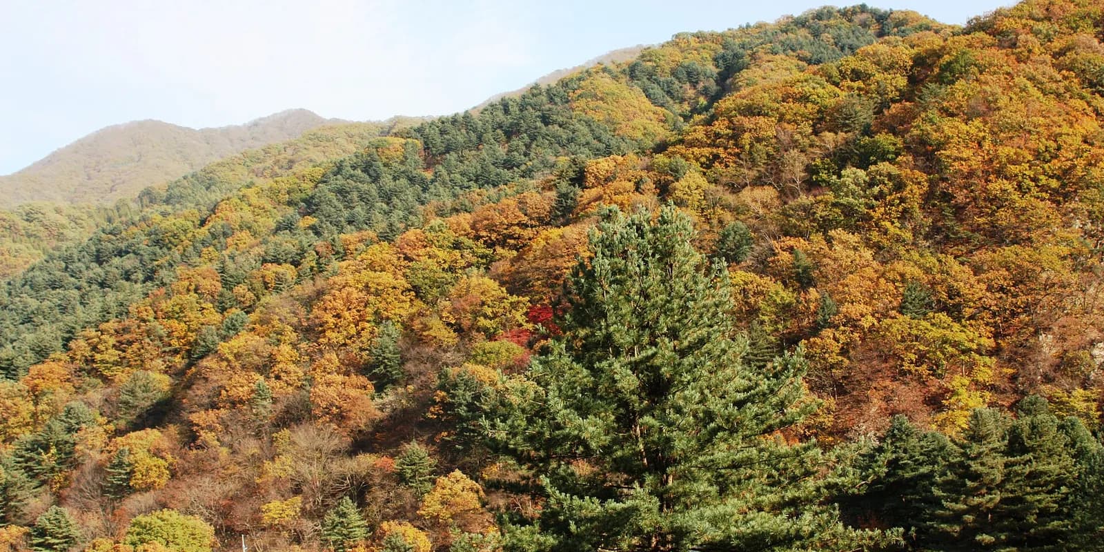 아침고요수목원 전경