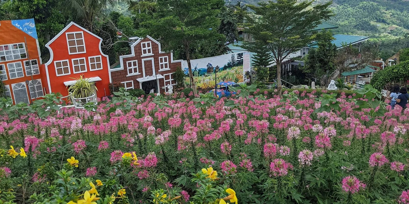 시라오 꽃정원 전경